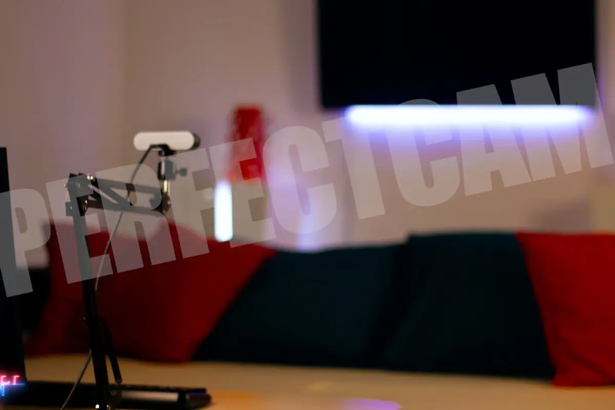 Интерьер вебкам студии Perfect Cam