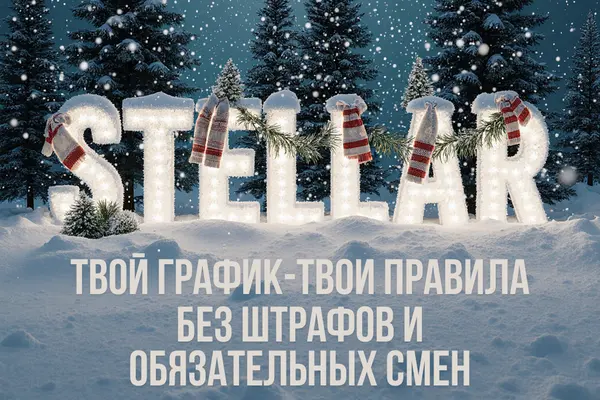 Вебкам студия Stellar