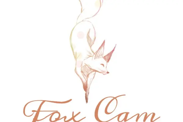 Вебкам студия Fox Cam