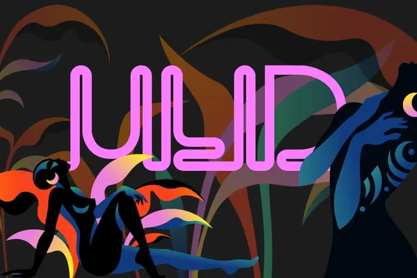 Вебкам студия ULID