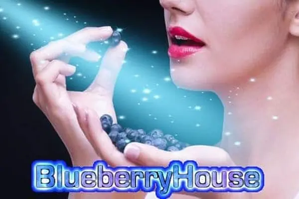 BlueberryHouse