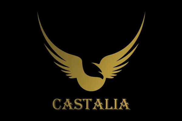 Вебкам студия Castalia Studio