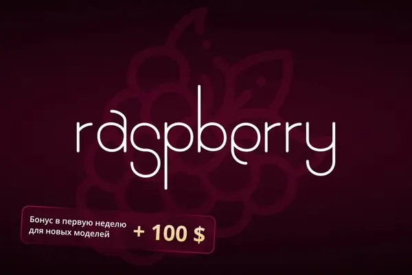 Вебкам студия Raspberry