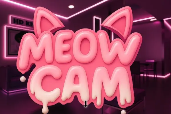 Вебкам студия MeowCam