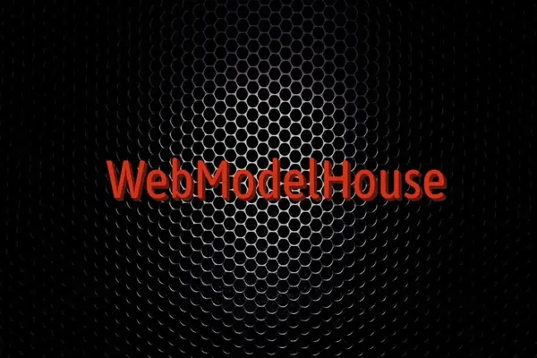 Вебкам студия WebModelHouse